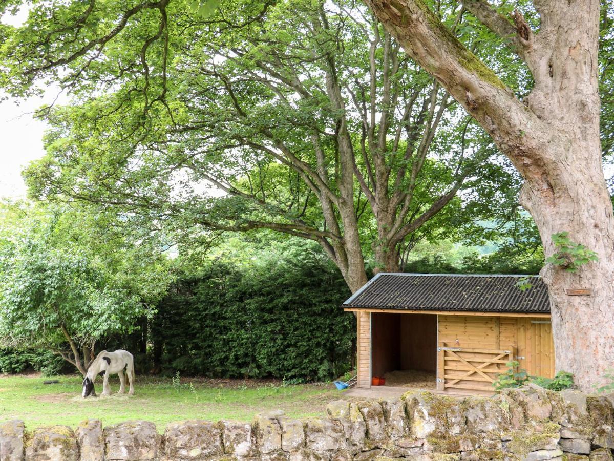 Bluebell Cottage Alfreton Ngoại thất bức ảnh